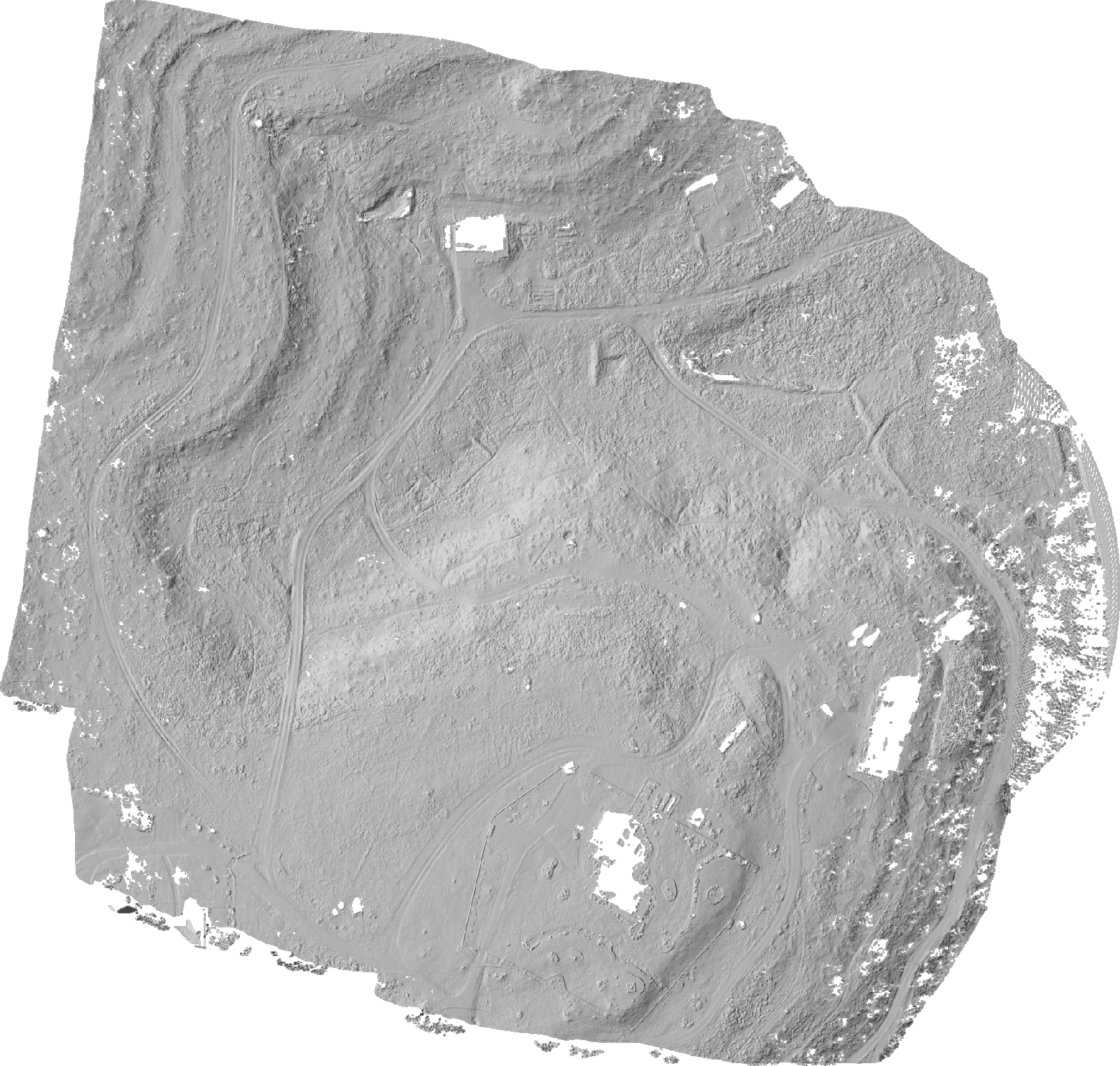 Bare-earth hillshade of a Hill Country ranch with brush and canopy removed